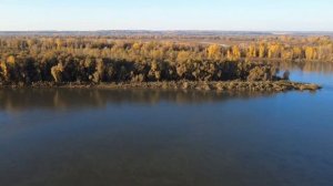 ПЕРВЫЙ ПОЛЕТ. ЗОЛОТАЯ ОСЕНЬ.