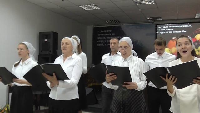 Собран урожай в поле и садах г.Оренбург 2022 г.