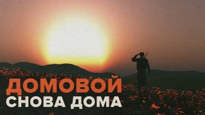ДОМОВОЙ: Снова дома