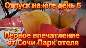 Отпуск. День 5. Сравнение отелей: переезд из Bridge Resort в Сочи Парк Отель. Первые впечатления.