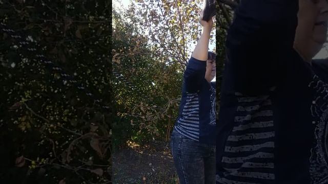 1000215247.mp4 Пуховые платочки.т.89020931602 смотреть онлайн