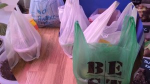 09-10-2025. Орхидеи и  Гиппеаструмы.