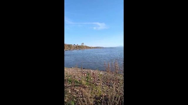 Амур