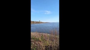 Амур