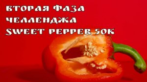 Вторая Фаза начало по Sweet Pepper 50k SpiceProp