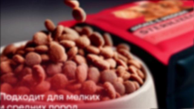 НОВИНКА Zoogurman RED для собак