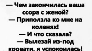Юмор