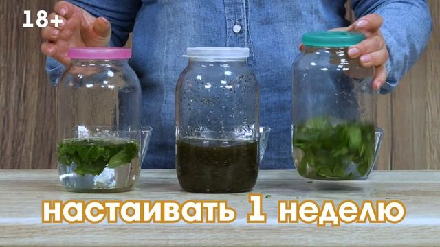 Мятная настойка на самогоне. Самый простой рецепт. Какая мята лучше ментоловая, перечная или сухая?