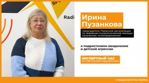 Ирина Пузанкова о подростковом вандализме / Экспертный час / Радио Sputnik Пермь