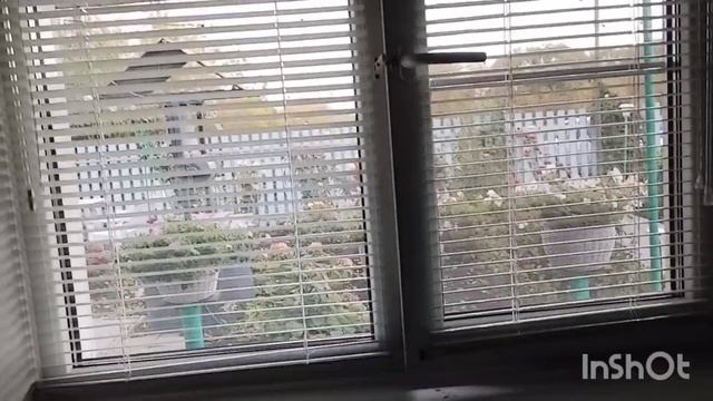 Ездили за молоком,что купила, как живут в русской деревне..