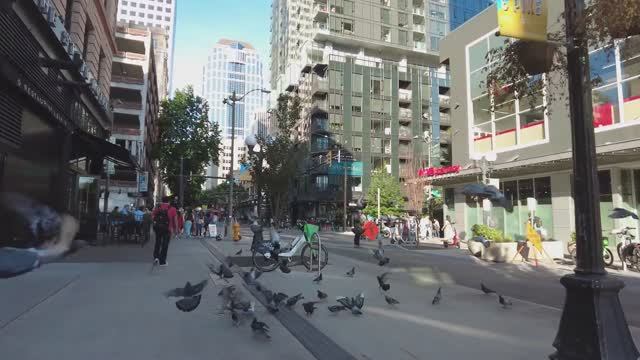 🇺🇸 Сиэтл, США - летняя прогулка по центру города / август 2025