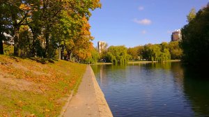 Лучик солнца