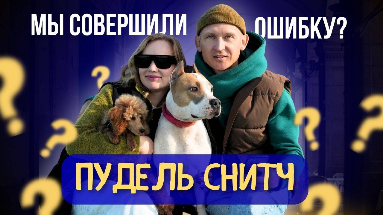 МЫ СОВЕРШИЛИ ОШИБКУ? Первый месяц с карликовым пуделем. Взгляд семьи.