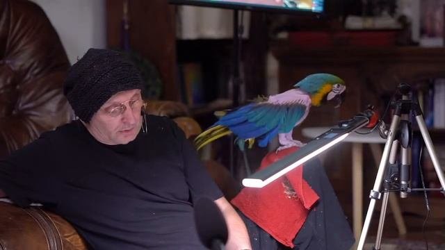 Бхарати Махарадж Шримад Бхагаватам 1.5