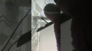 я сплю не будите