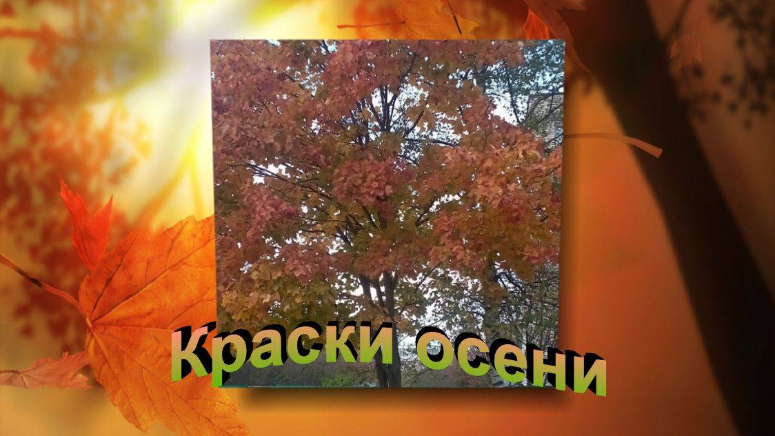 Краски осени