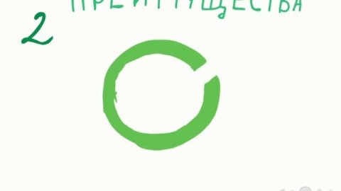 Концепция low code и no code