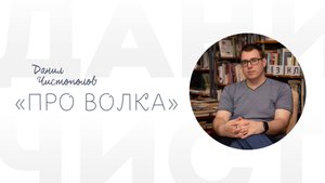 Данил Чистополов «Про волка»