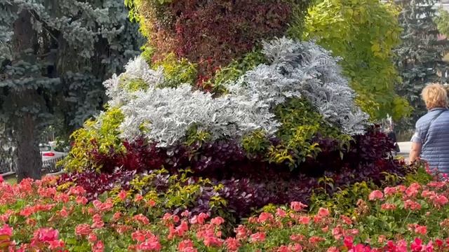 Полюбуйтсь чудесными Кисловодскими цветочками