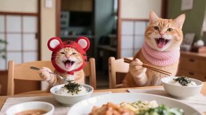 Котики - жизнь полосатого семейства (1 час)