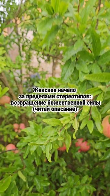 Женское начало за пределами стереотипов: возвращение божественной силы