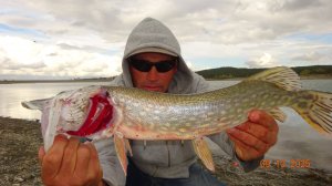 РАЗДАЧА ОСЕННЕЙ ЩУКИ.УЛОВ.2025.