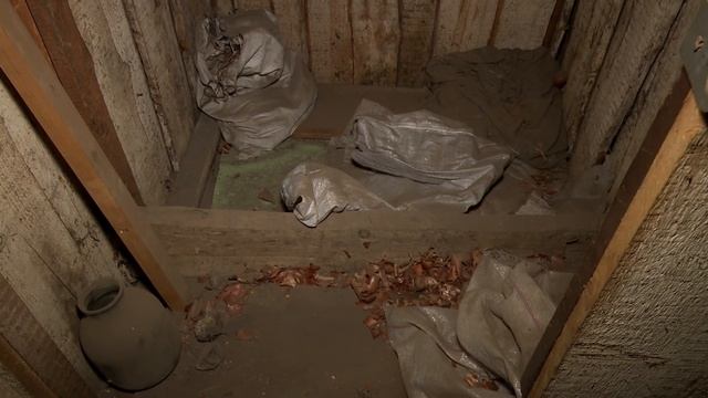 В одном из бийских многоквартирных домов жители фиксируют нашествие грызунов и насекомых