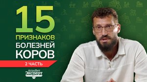 15 признаков болезней коров. Часть 2
