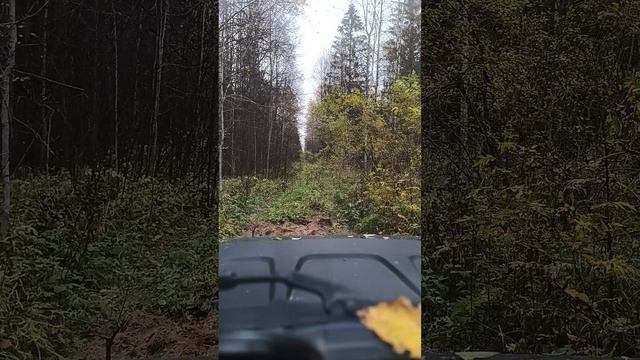 металлокоп