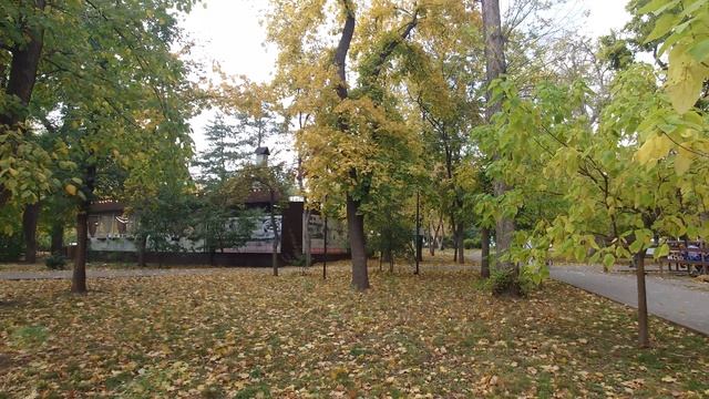 Бабье лето в Ростове. смотреть онлайн