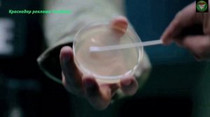 Вышел тизер «Из многих» – нового сериала от автора «Во все тяжкие» и Лучше звоните Солу