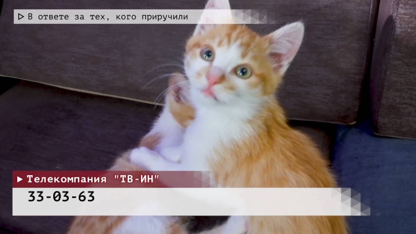 Время местное. Эфир: 09-10-2025 - В ответе за тех, кого приручили