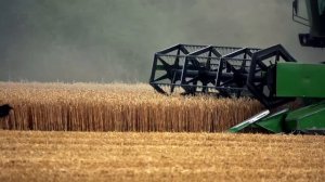 Авария на Запорожской АЭС. Что там произошло и какие будут последствия.mp4