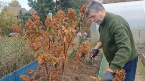 / Дачная  хроника - 2025 /