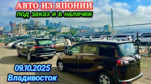 Авто из Японии под Заказ в Наличии Авторынок Новый Кей Кар Хэтчбек Минивэн Кроссовер Универсал Седан