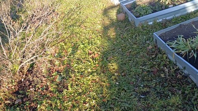 Последние тёплые дни ,продолжаем работать.09.10.2025г.