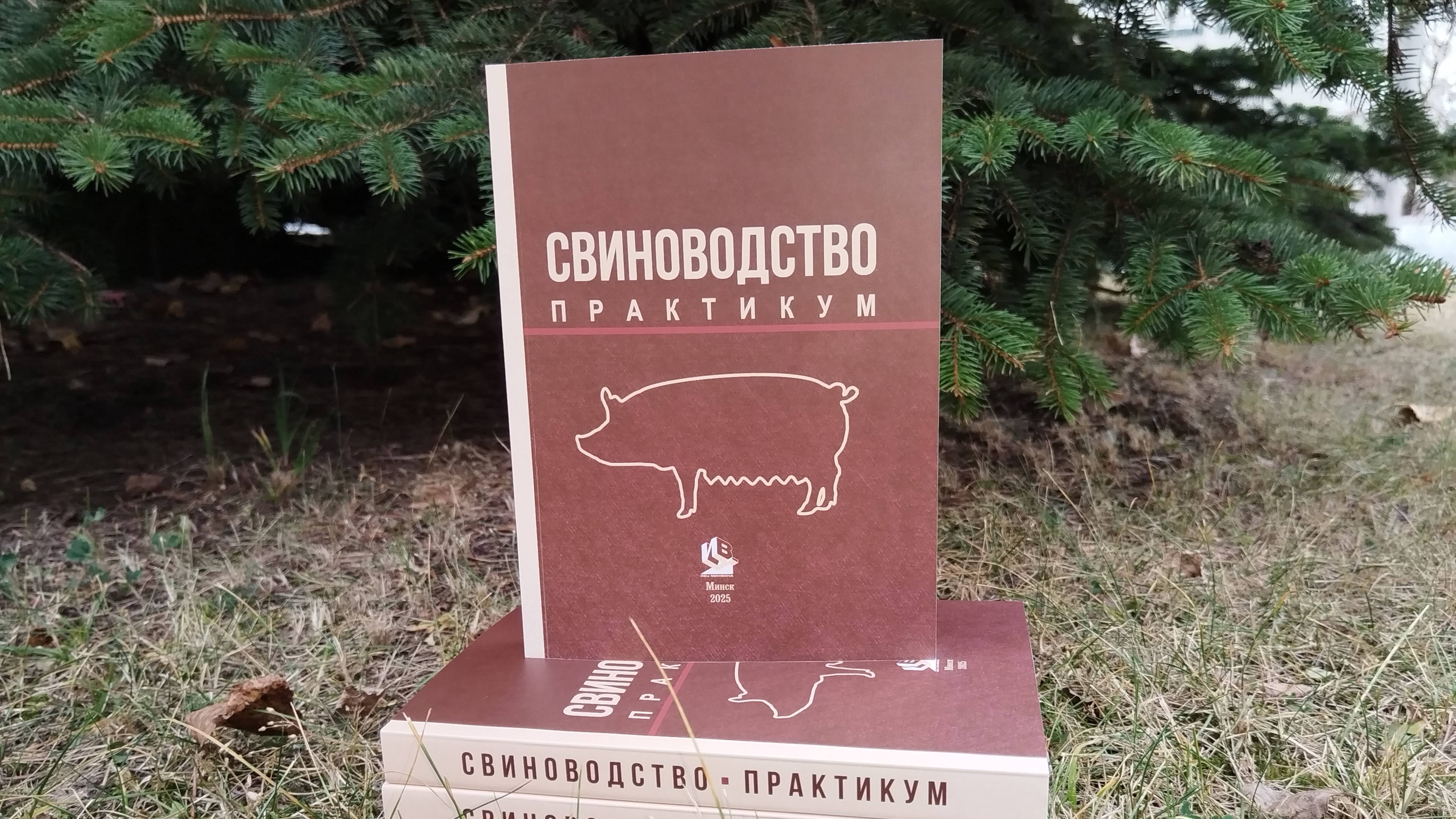 Свиноводство Практикум