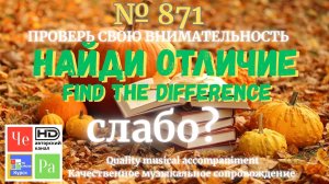 "Найди отличие" / "Spot the Difference" _ выпуск № 871