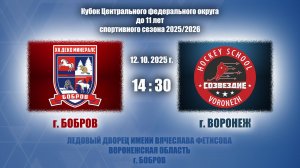 12.10.2025_14.30(МСК)_2015 г.р._ХК "ДЕКО МИНЕРАЛС" (г. Бобров) - ХК "СОЗВЕЗДИЕ" (г. Воронеж)