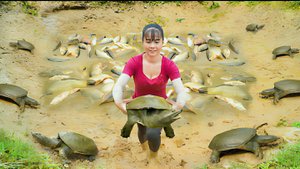 Выловили много рыбы и черепах, везем их на продажу на сельский рынок. Жизнь во Вьетнаме