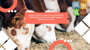 Запись семинара от 8 октября 2025 года