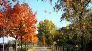 ПРАЗДНИК ОСЕНИ