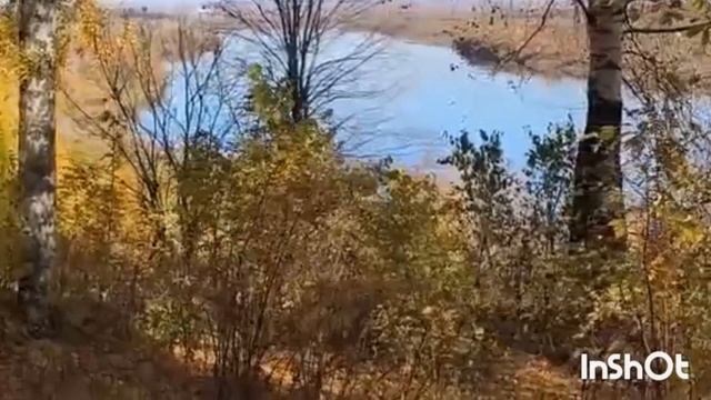 Стихи и песни. От души и для души ( авторские )...