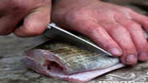 Малосольный хариус