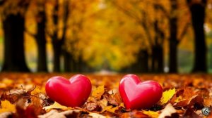 Дыханье на губах 🎵