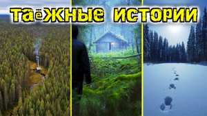 Неизведанная Тайга: Правдивые истории из глухой тайги. Таёжные истории