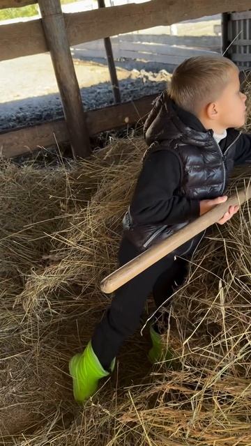 Подписывайтесь если хотите: Увидеть откуда берется по-настоящему честная еда