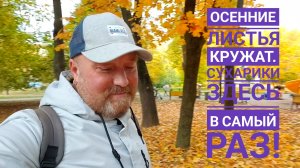 ОСЕННИЙ ТРИКОЛОР РАЗНЫЕ ЧУВСТВА. СЫТНЫЙ САЛАТ ШЕДЕВРАЛЬНО.