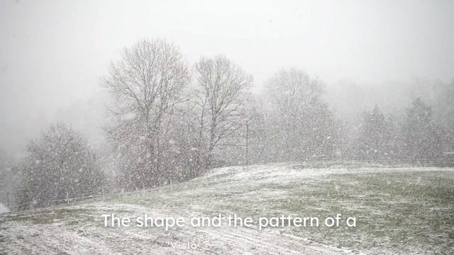 Snowflakes