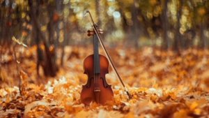 Смело пой песню своей жизни под аккомпанемент чудес!